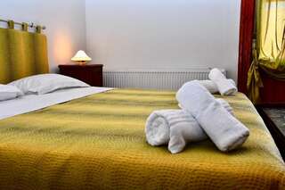 Отели типа «постель и завтрак» GB Apartments - 'Bohus Palace Panoramic' Арад Двухместный номер Делюкс с 1 кроватью и душем-3